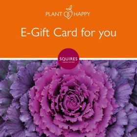 Squire's E-Gift Card - Kale